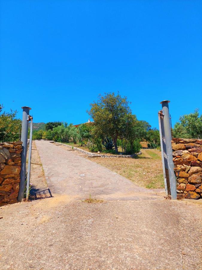 הוילה פורטיקסדו Casa Mama מראה חיצוני תמונה